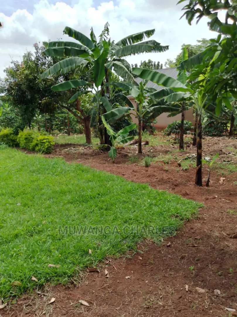 Plot Available for Sale at Kiwenda in Central Division
