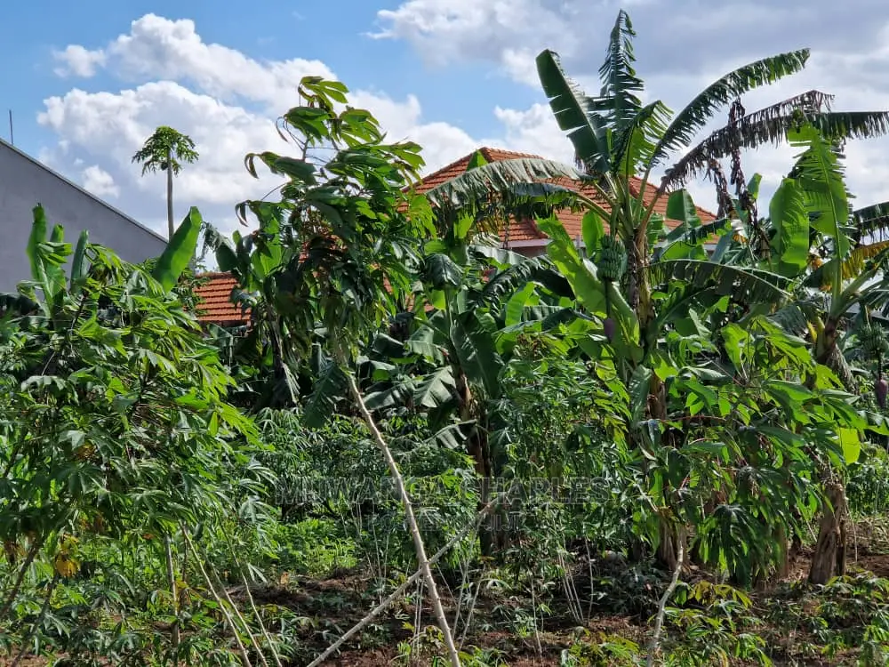 Plot's Available for Sale at Nakwero in Central Division