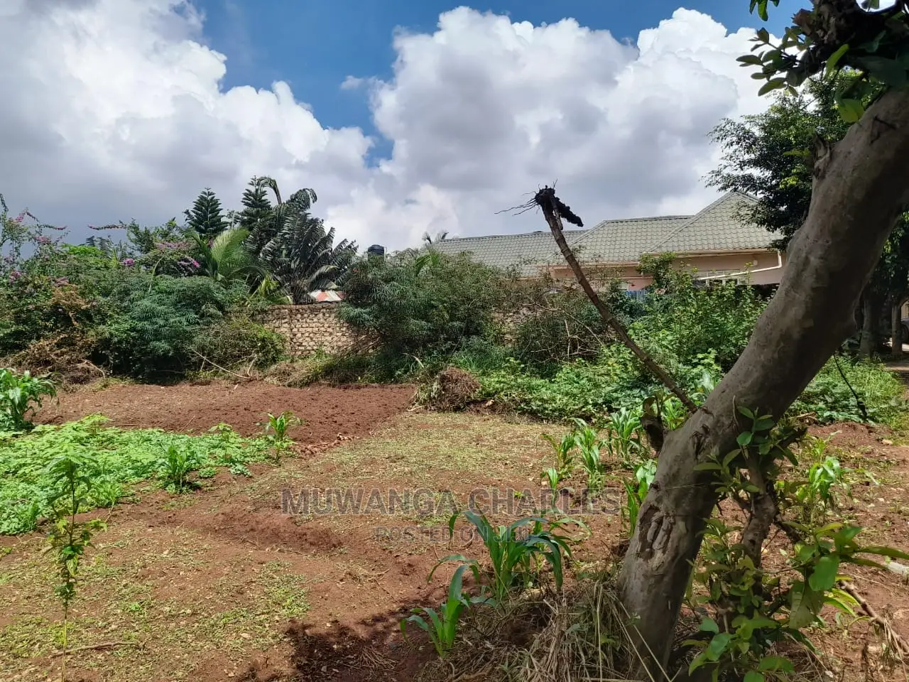 Plot's Available for Sale at Nakwero in Central Division