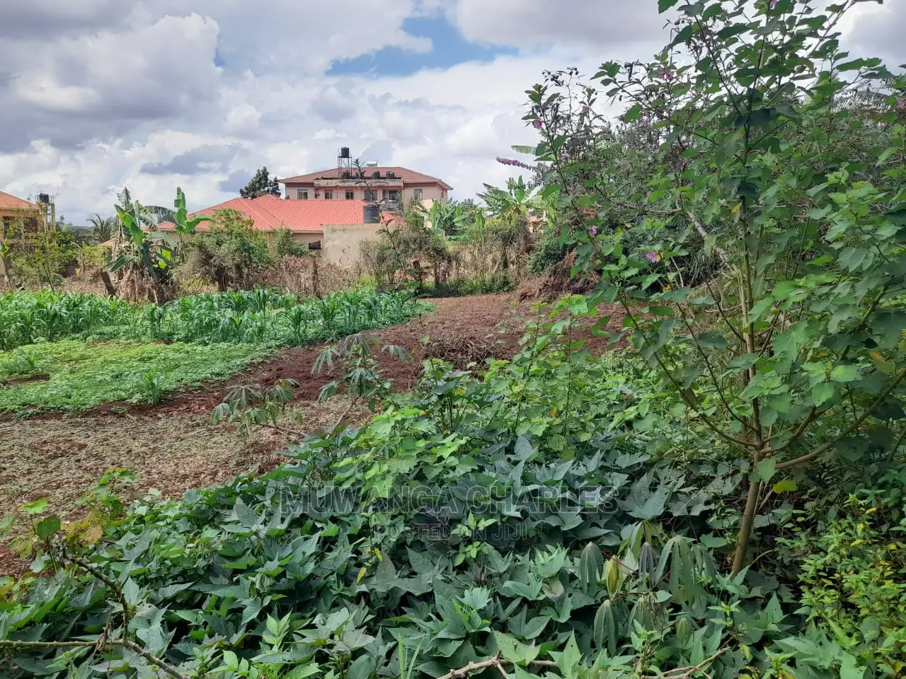 Plot's Available for Sale at Nakwero in Central Division