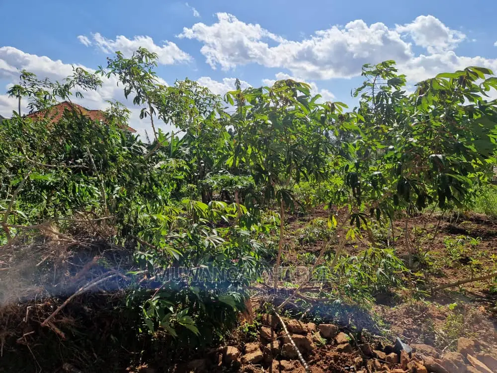 Plot's Available for Sale at Nakwero in Central Division