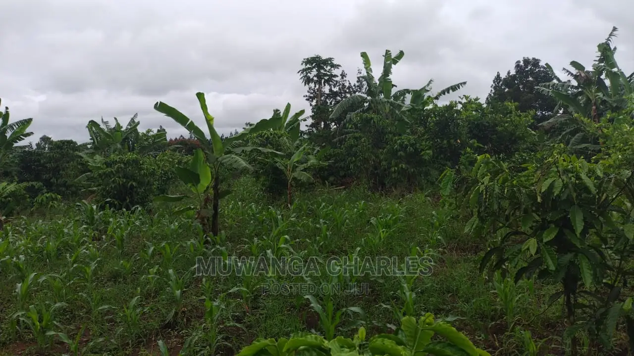 Plot for Sale at Gayaza Nakwero in Central Division
