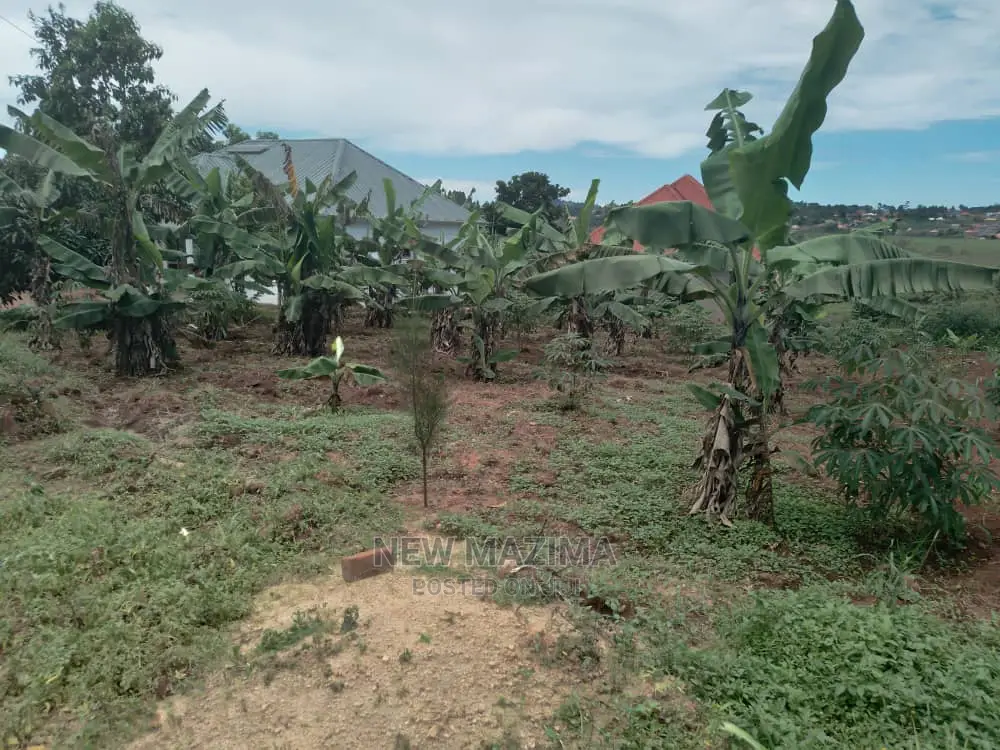Buloba Nabukalu Titled Plot on Quicksale in Rich Neighbours in Central Division