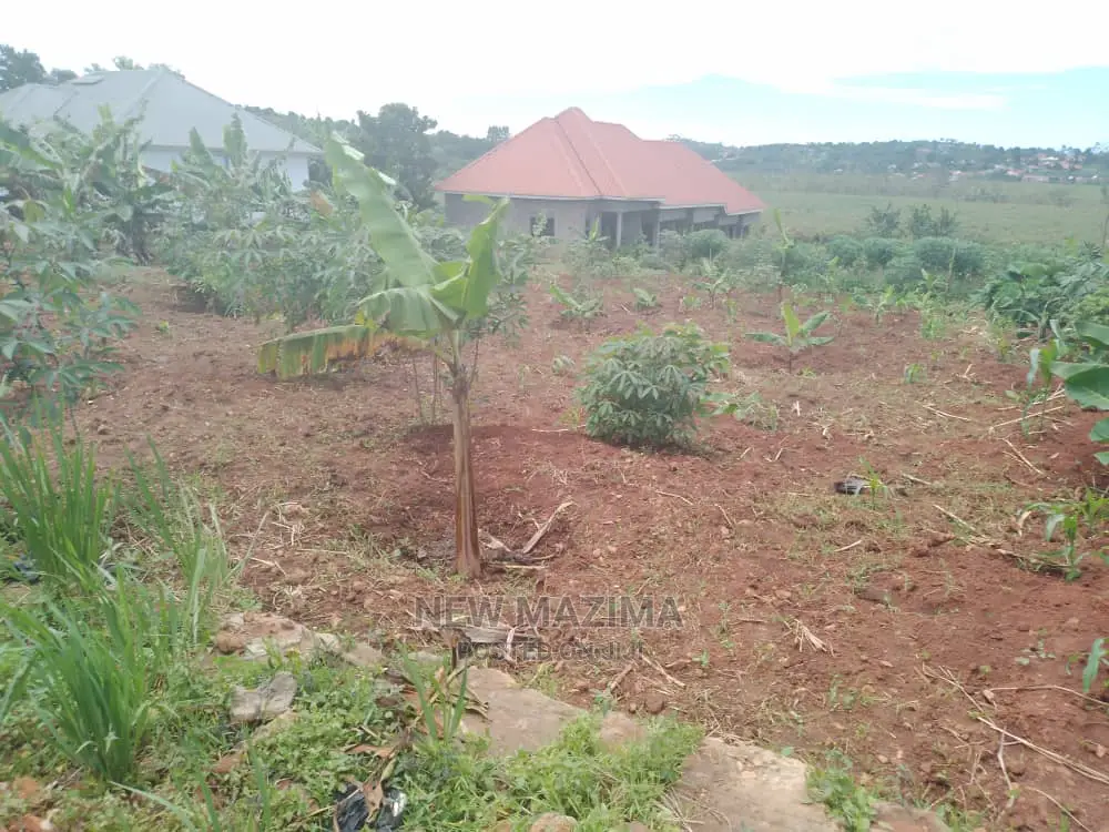 Buloba Nabukalu Titled Plot on Quicksale in Rich Neighbours in Central Division