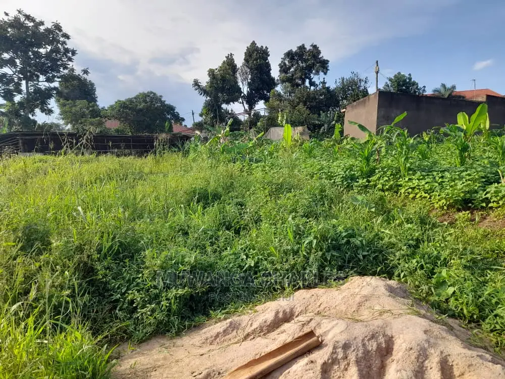 Plot's Available for Sale at Busika in Central Division