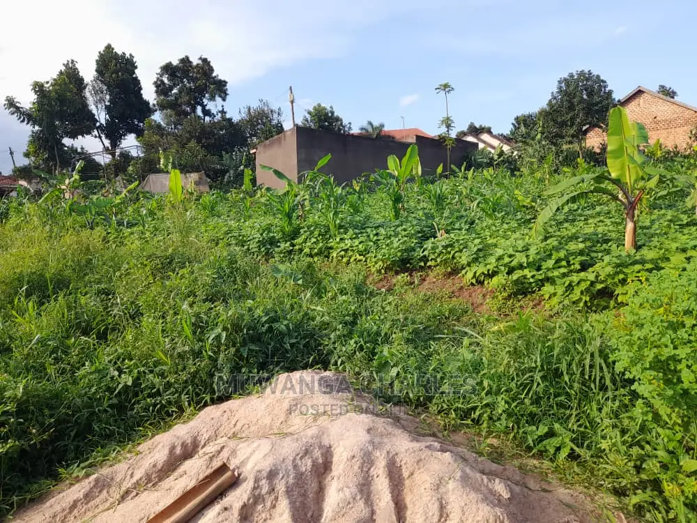 Plot's Available for Sale at Busika in Central Division