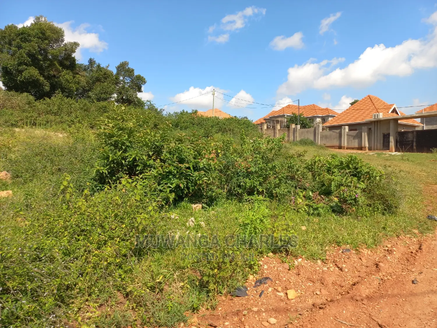 Plot's Available for Sale at Busika in Central Division
