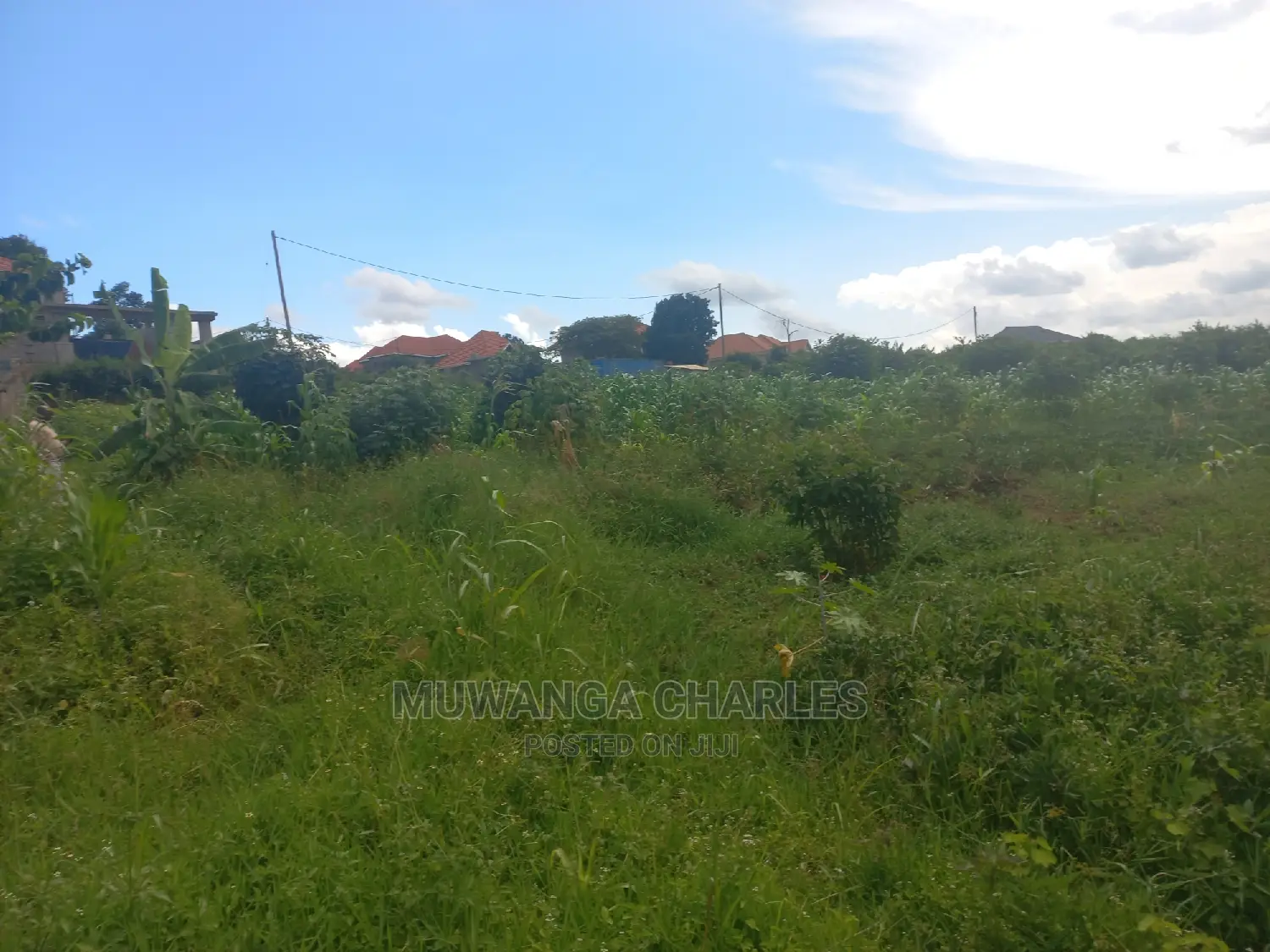 100by50ft Plot for Sale at Kira Kitukutwe in Central Division