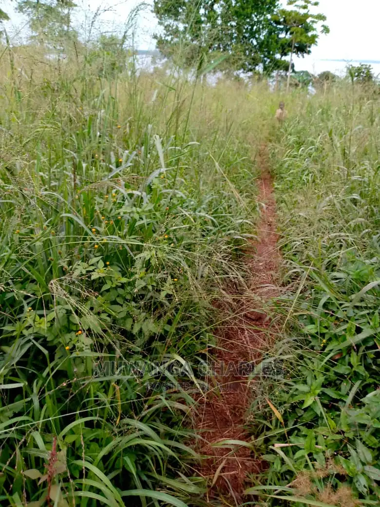 Plots Available for Sale at Busika in Central Division