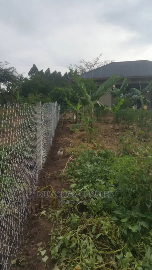 Plots Available for Sale at Busika in Central Division