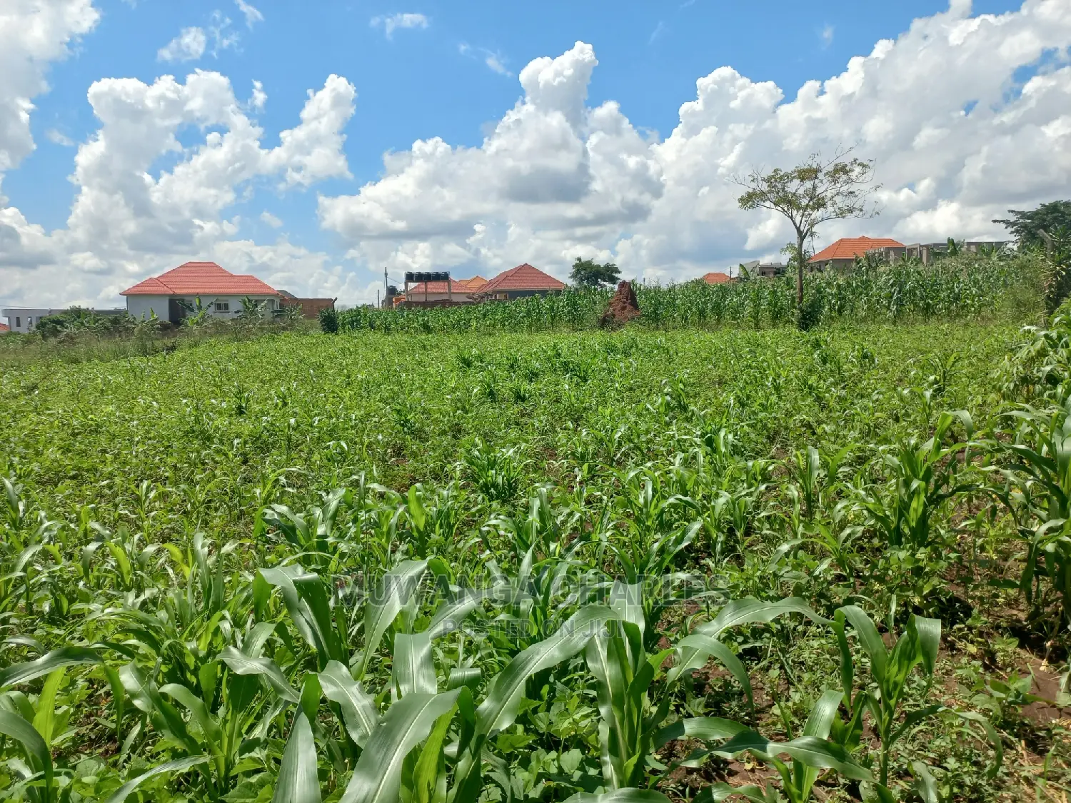 Plot Available for Sale at Kyanja Kungu in Central Division