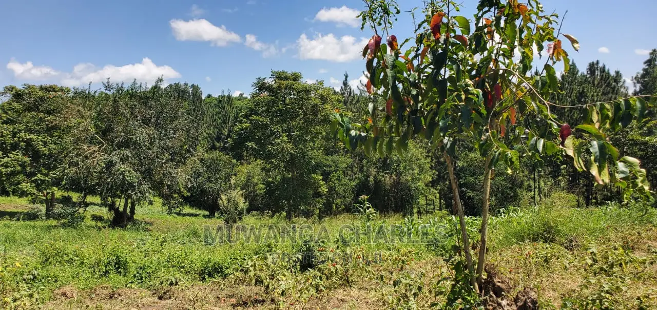 20acres Available for Sale at Luwero Kamira in Luwero / Luwero