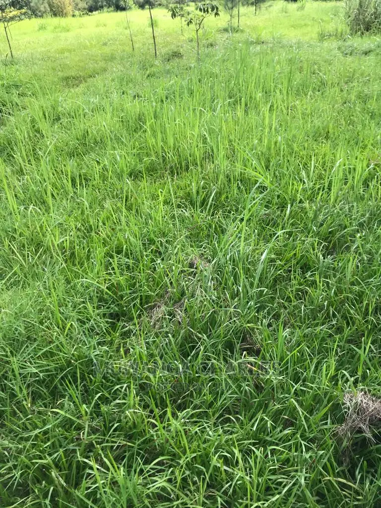 2acres of Land for Sale at Janda in Central Division