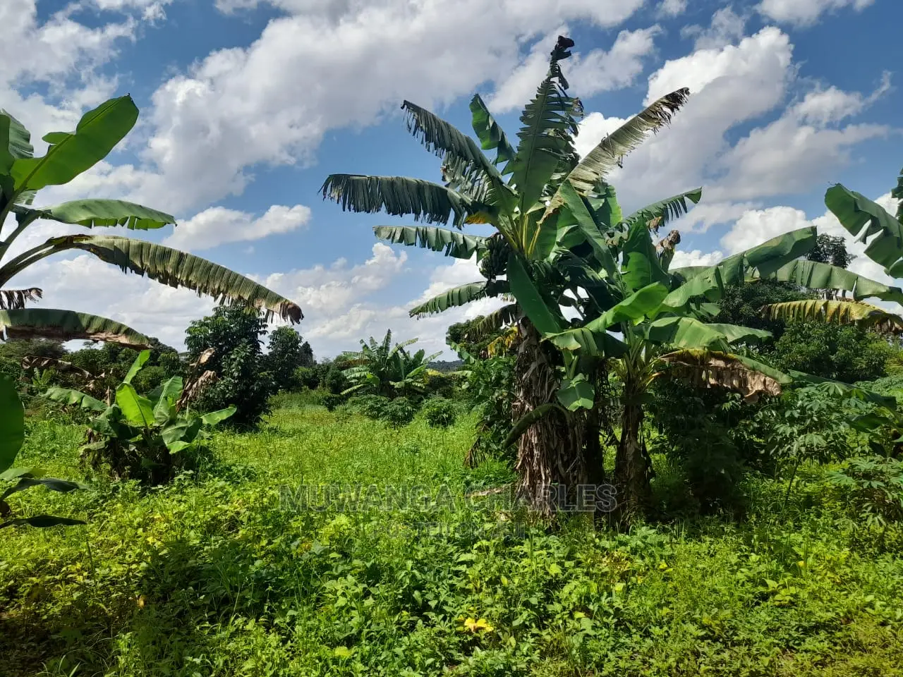 2acres of Land for Sale at Janda in Central Division