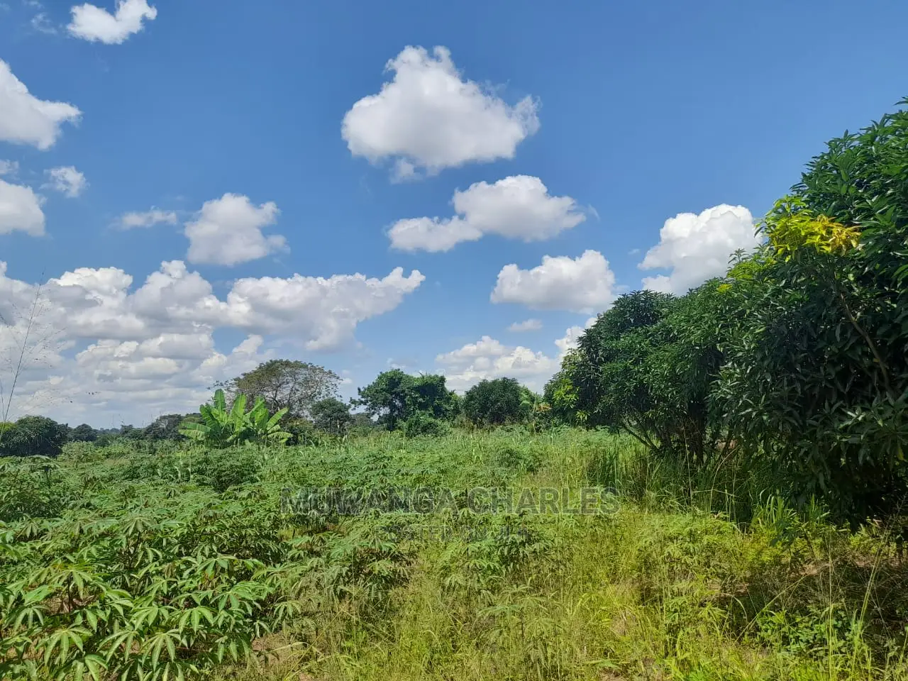 2acres of Land for Sale at Janda in Central Division