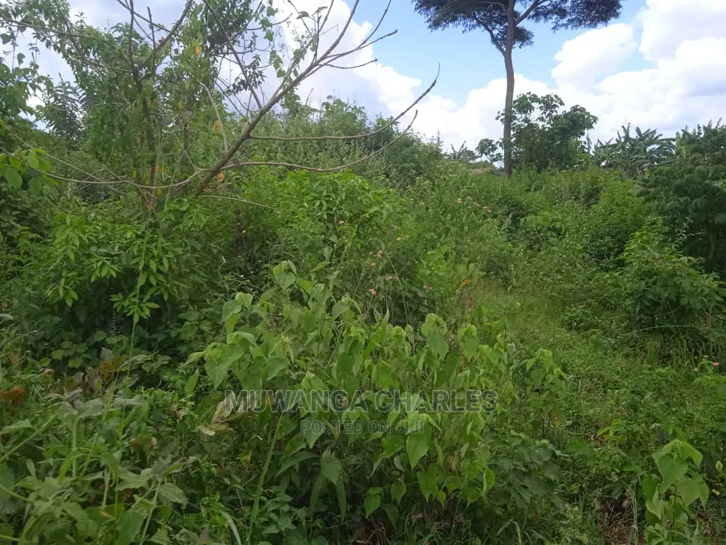 Land Available for Sale at Zirobwe Wabutungulu in Central Division