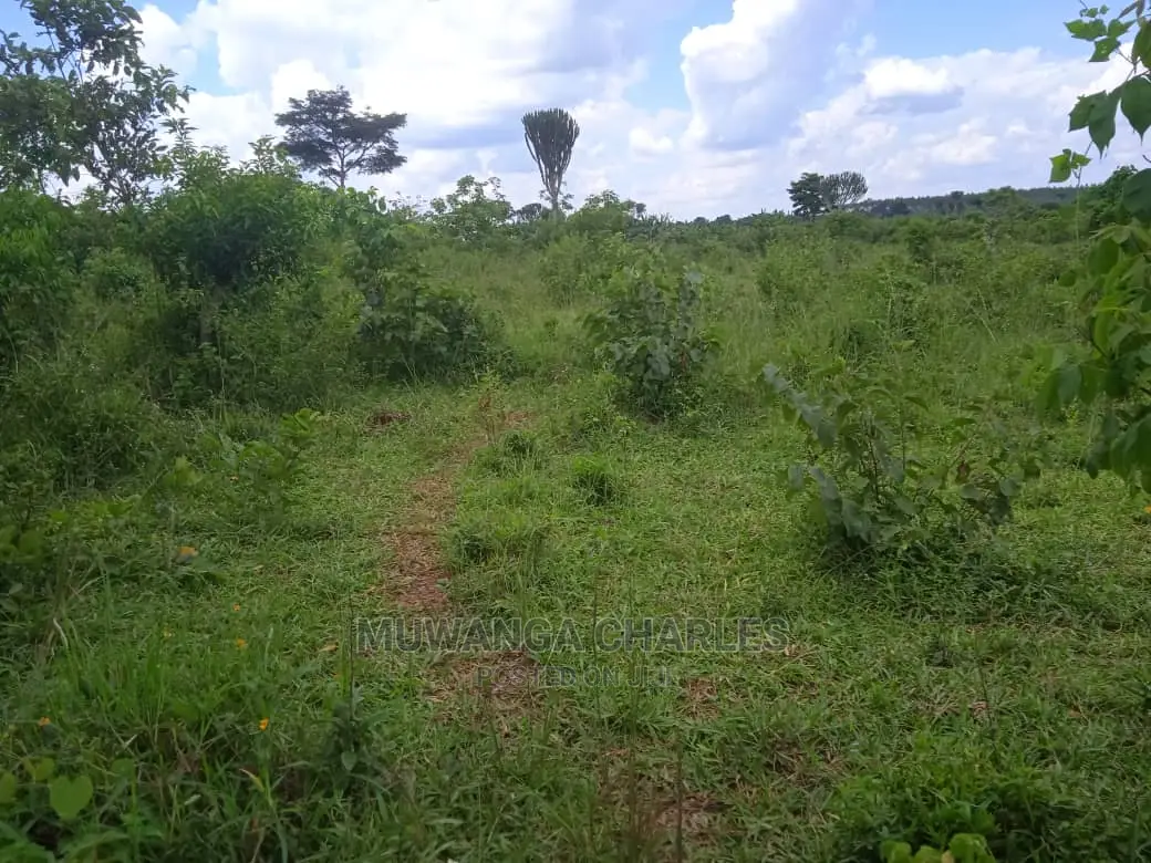 Land Available for Sale at Zirobwe Wabutungulu in Central Division