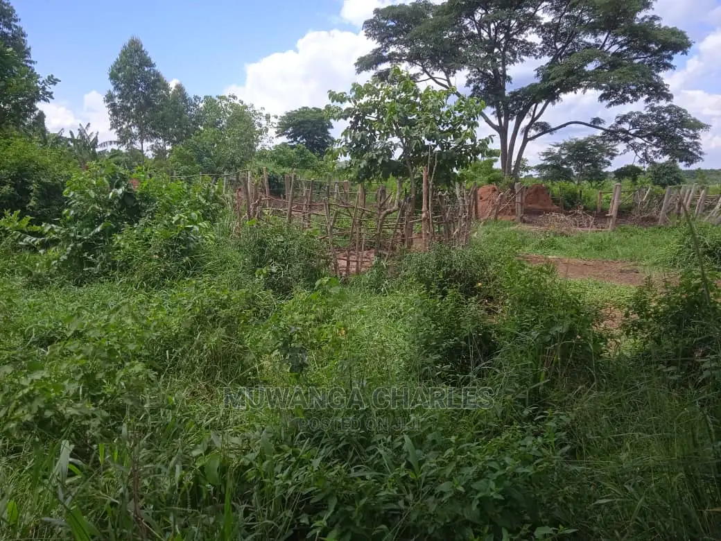 Land Available for Sale at Zirobwe Wabutungulu in Central Division