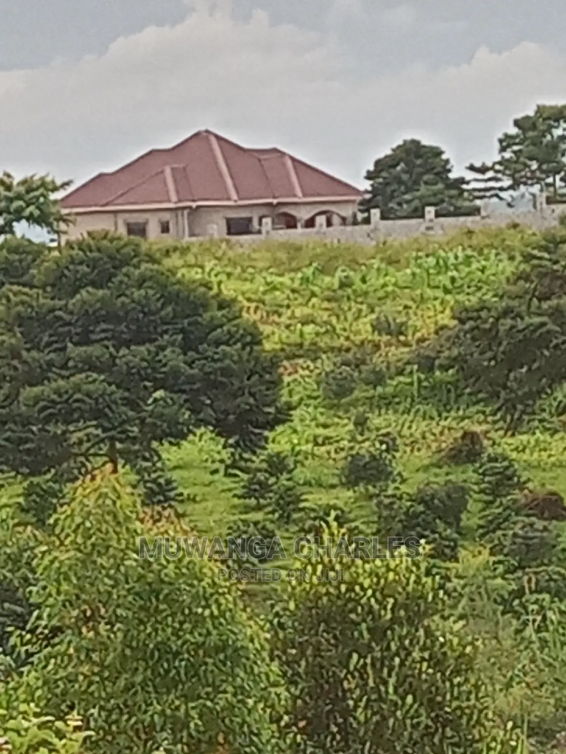 12decimal Plot for Sale at Kira in Central Division