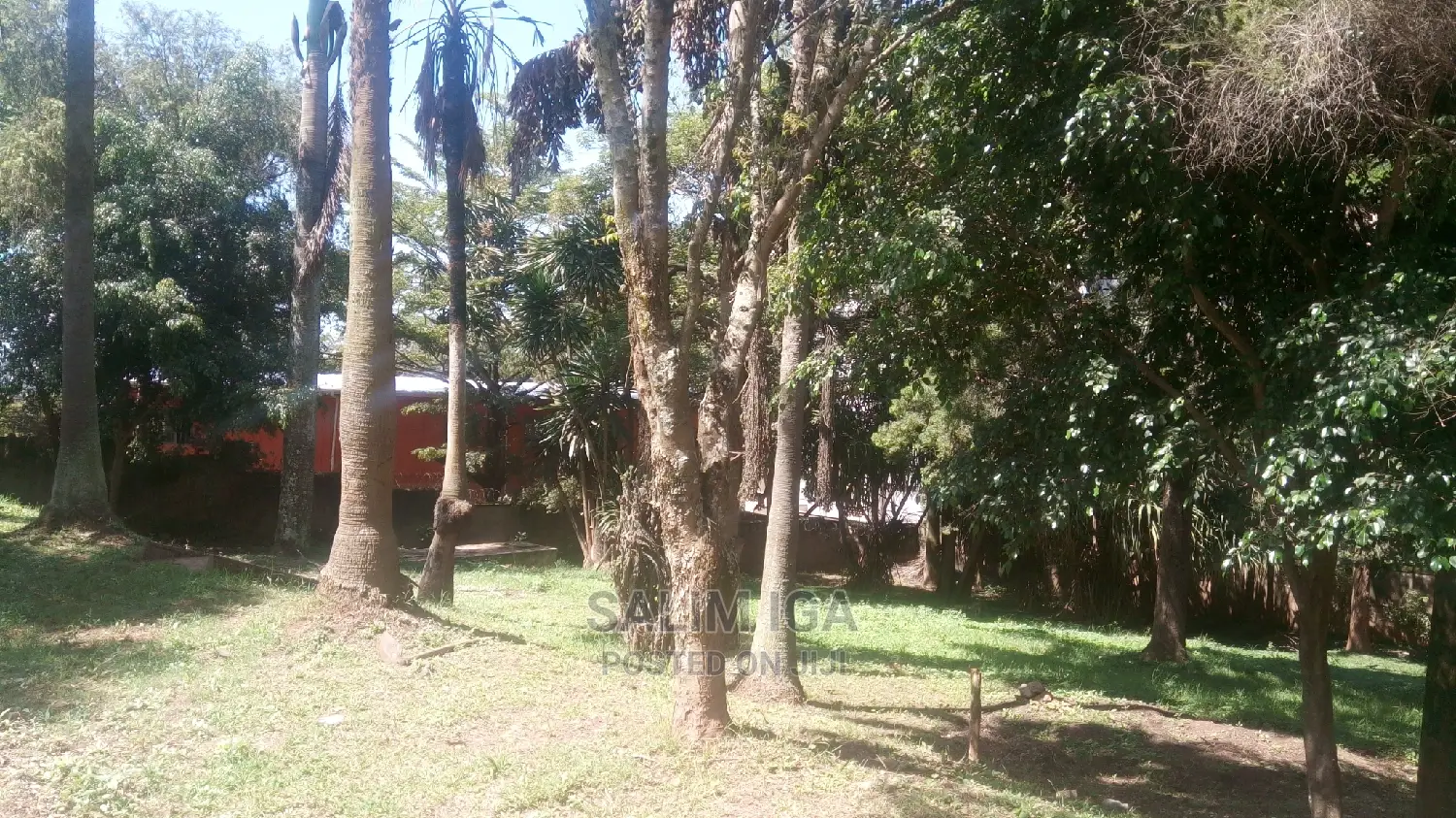 4bdrm Duplex in Kololo Property, Central Division for Rent in Central Division