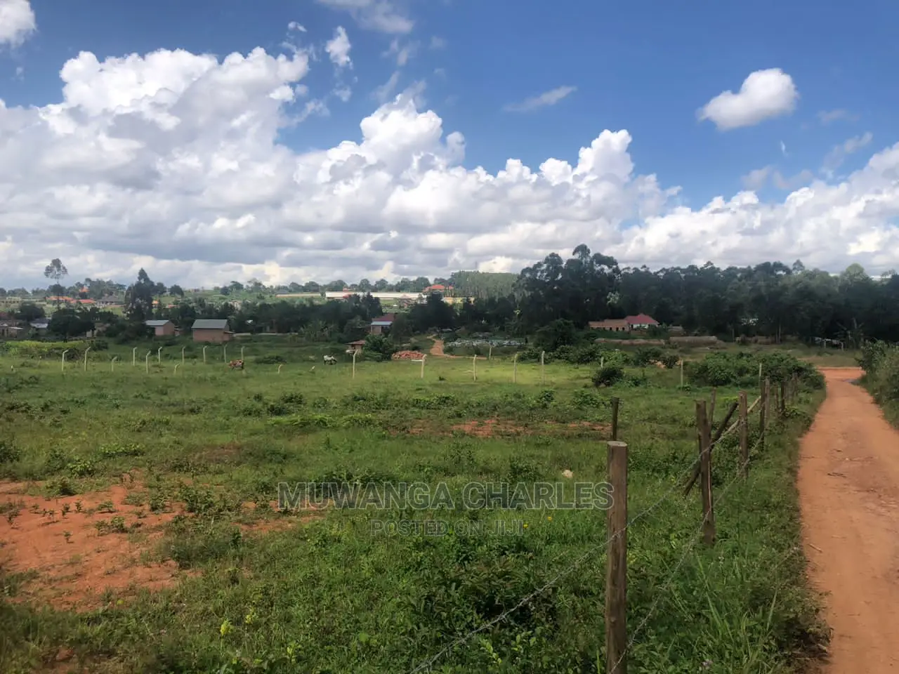 Plot's Available for Sale at Kiwenda in Central Division