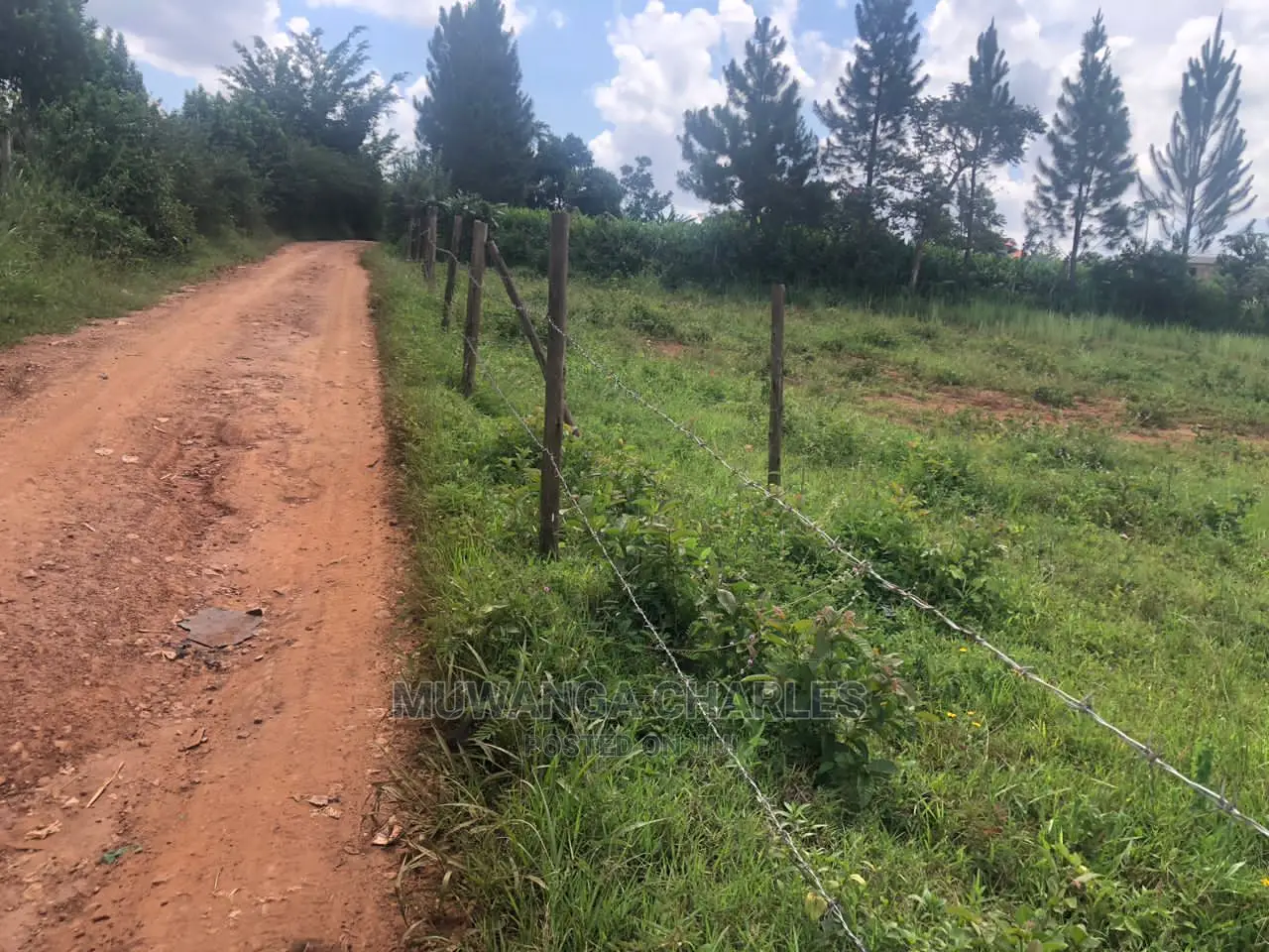 Plot's Available for Sale at Kiwenda in Central Division