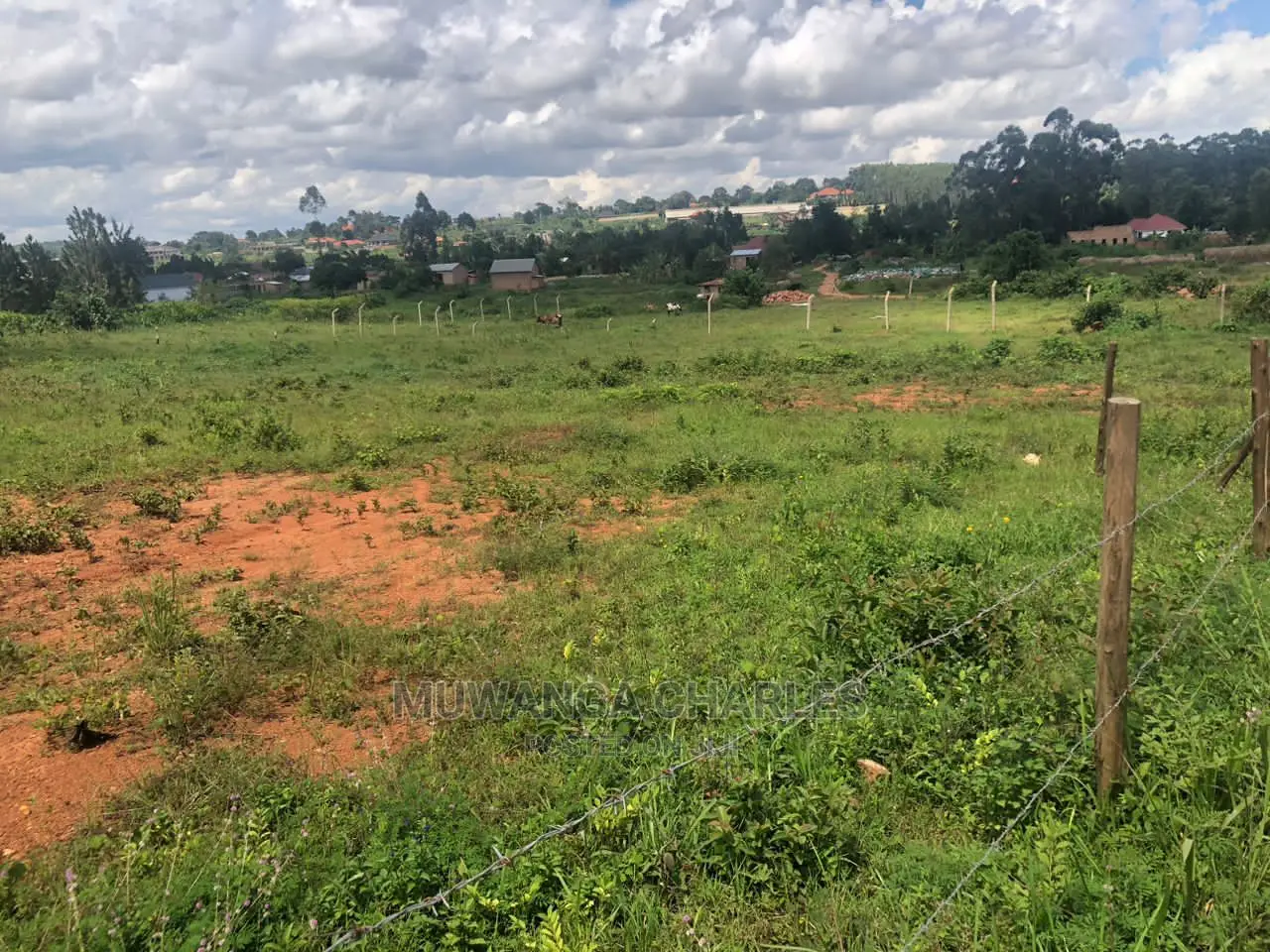 Plot's Available for Sale at Kiwenda in Central Division