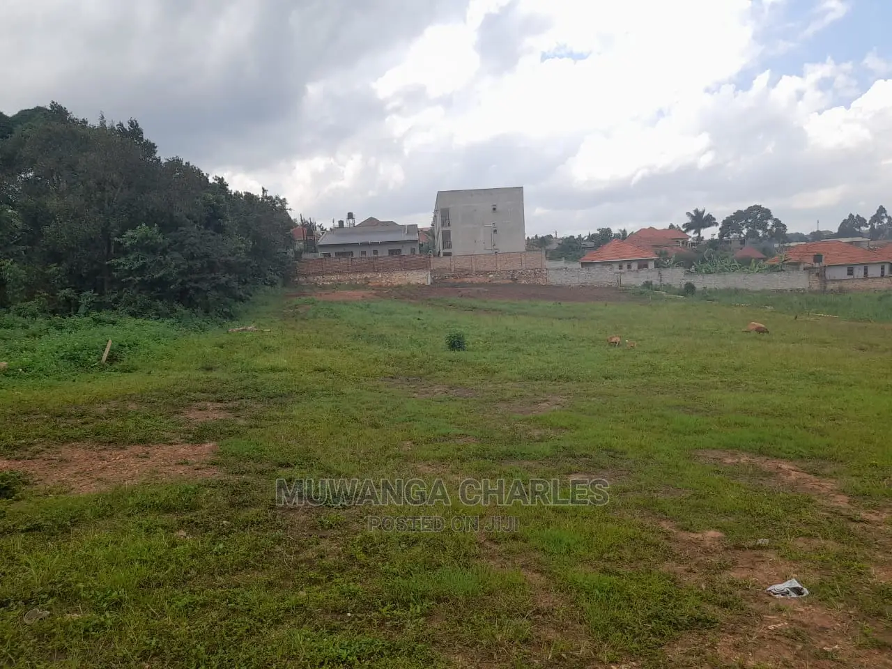 12decimals Plot of Land for Sale at Kira Kimwanyi in Central Division