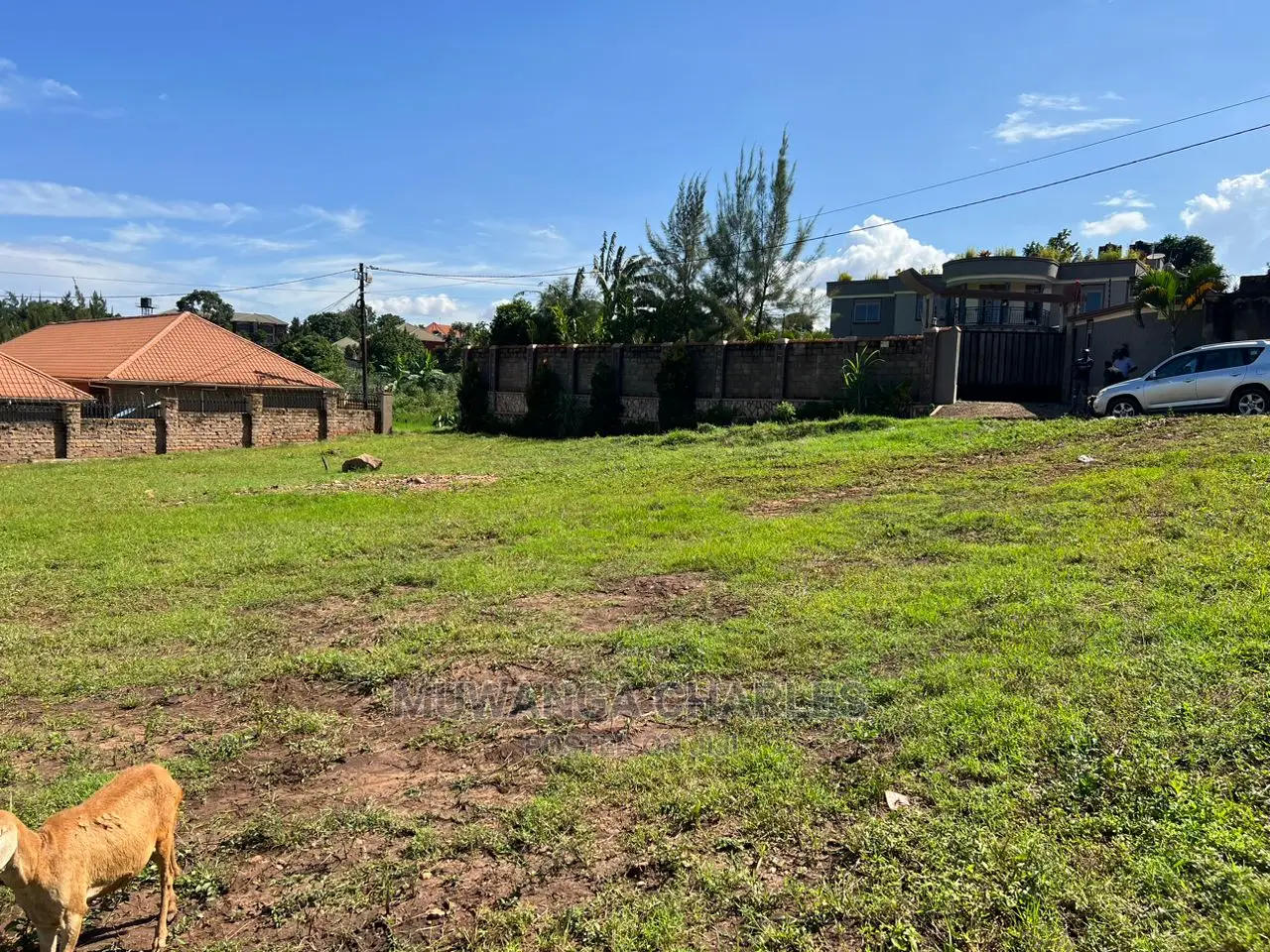 100by50ft Plot for Sale at Kynja Kungu in Central Division
