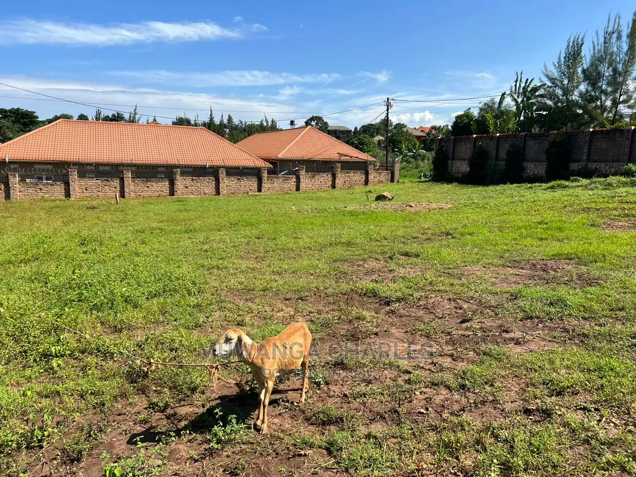 100by50ft Plot for Sale at Kynja Kungu in Central Division