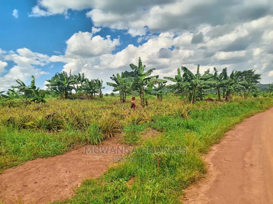Land for Sale at Zirobwe Tongo in Central Division