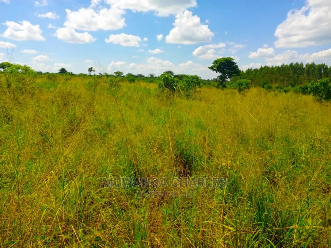 Land for Sale at Zirobwe Tongo in Central Division