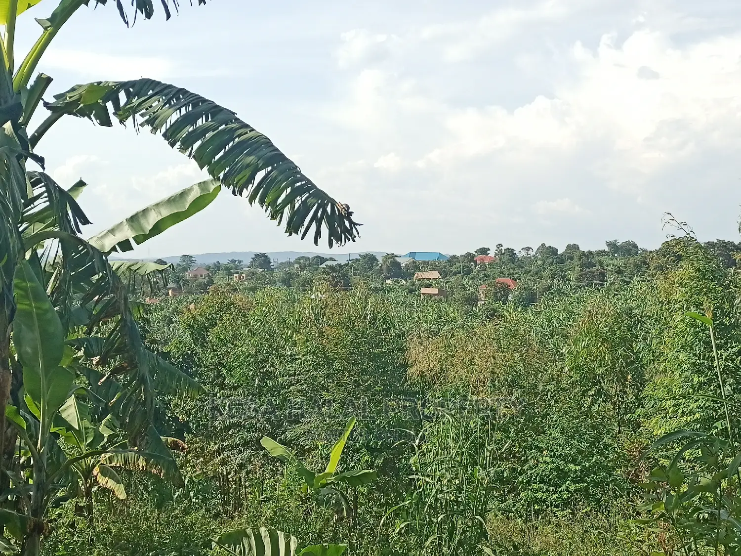 Good Lusuku on 19 DC Before Kalule Bombo Road in Bombo TC
