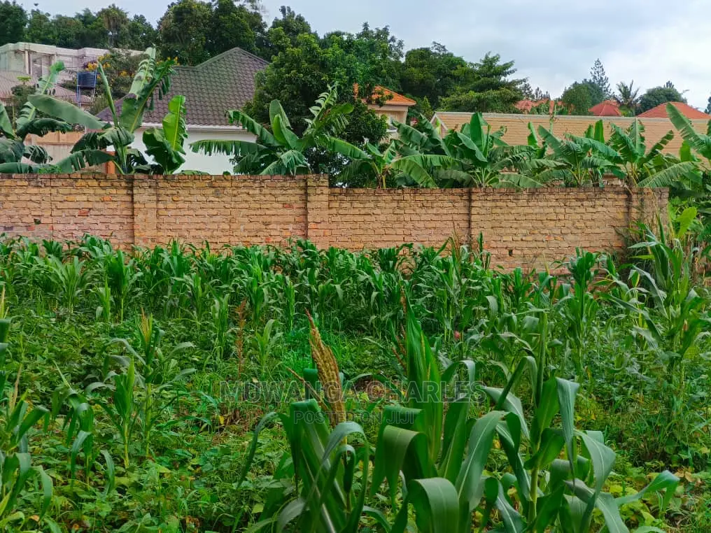 100by50ft Plot for Sale at Kyanja Kungu in Central Division
