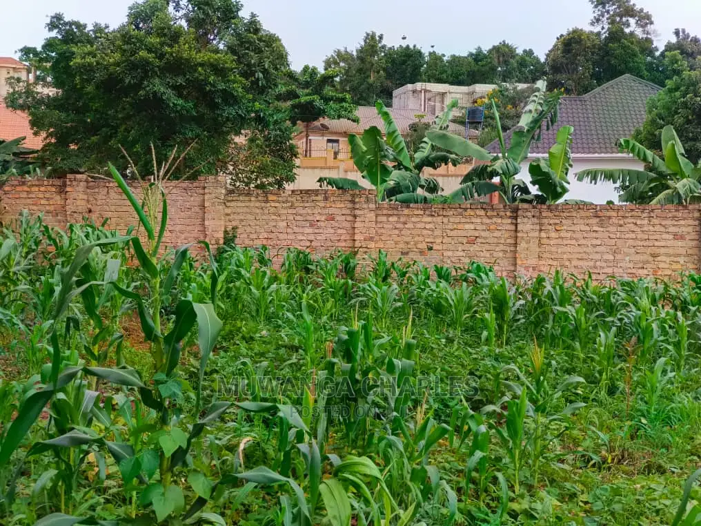 100by50ft Plot for Sale at Kyanja Kungu in Central Division