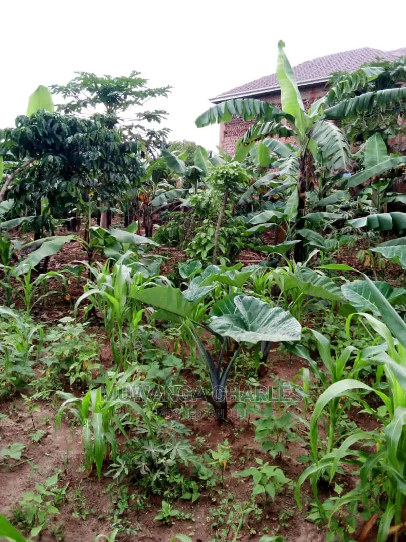 100by50ft Plot in Gayaza Nakwero for Sale in Central Division