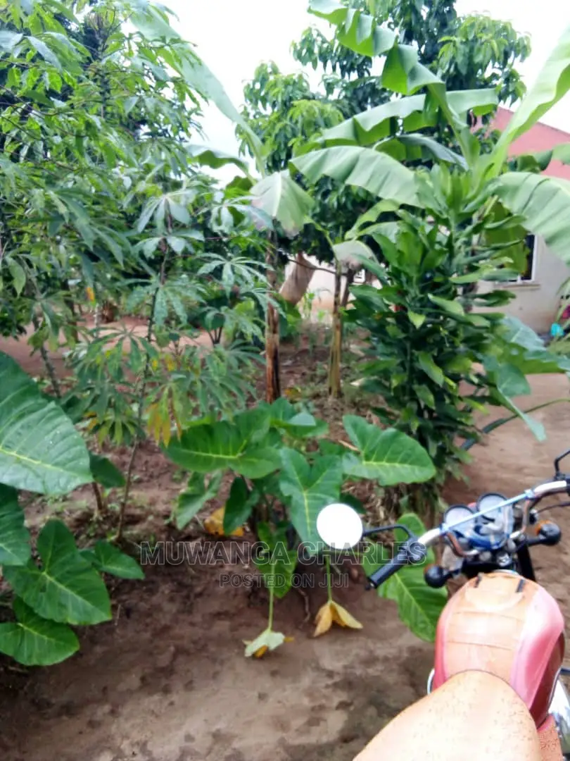 100by50ft Plot in Gayaza Nakwero for Sale in Central Division