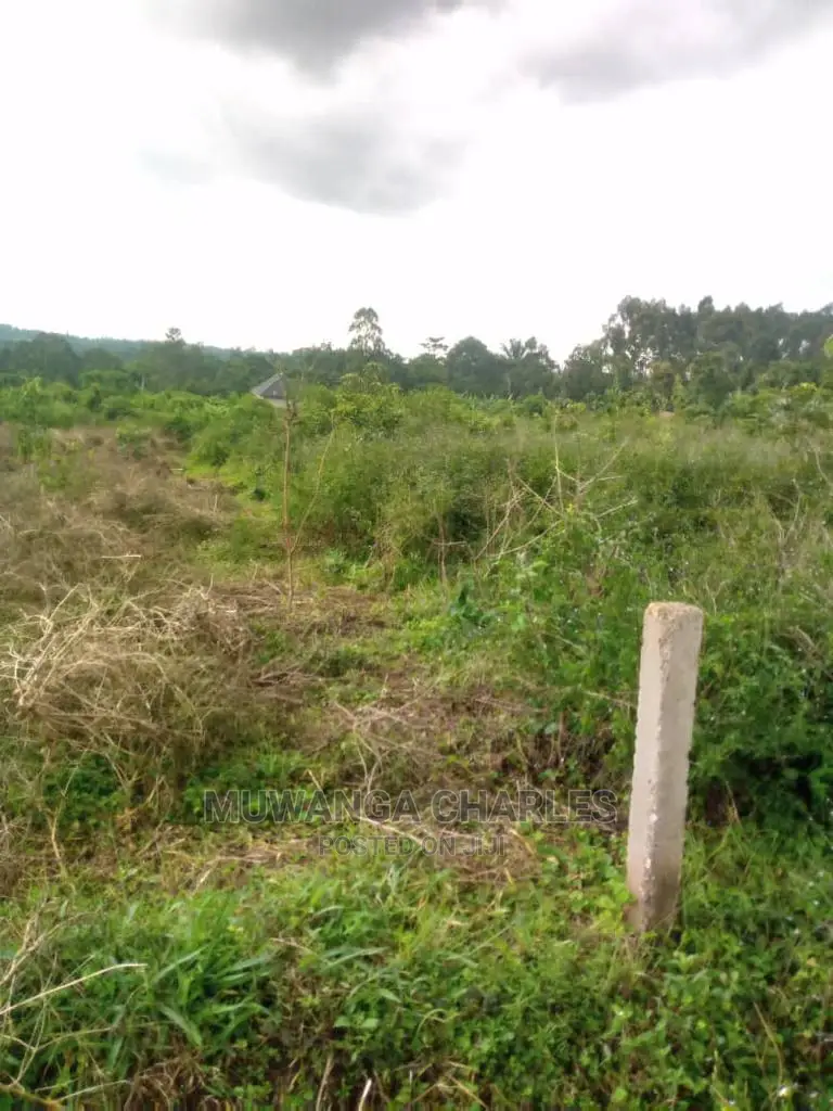 100by50ft Plot in Buwate in Central Division