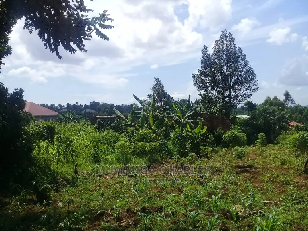 Plot's for Sale at Kira in Central Division