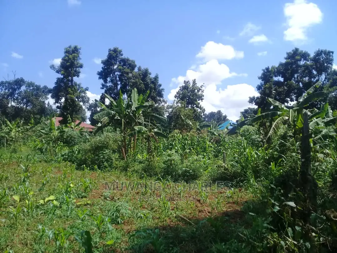 Plot's for Sale at Kira in Central Division