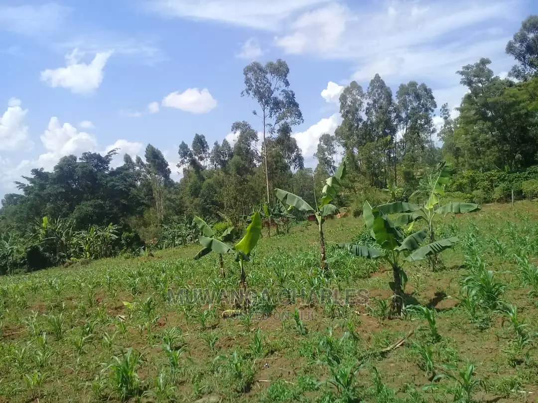 Plot's for Sale at Kira in Central Division