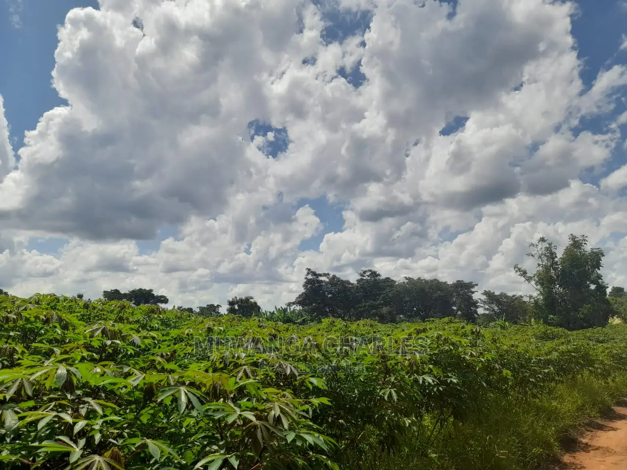 Plot for Sale at Gayaza Road Busiika in Central Division