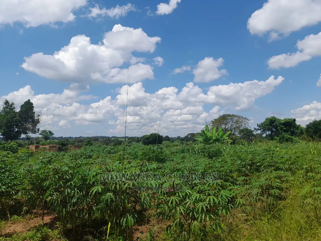Plot for Sale at Gayaza Road Busiika in Central Division