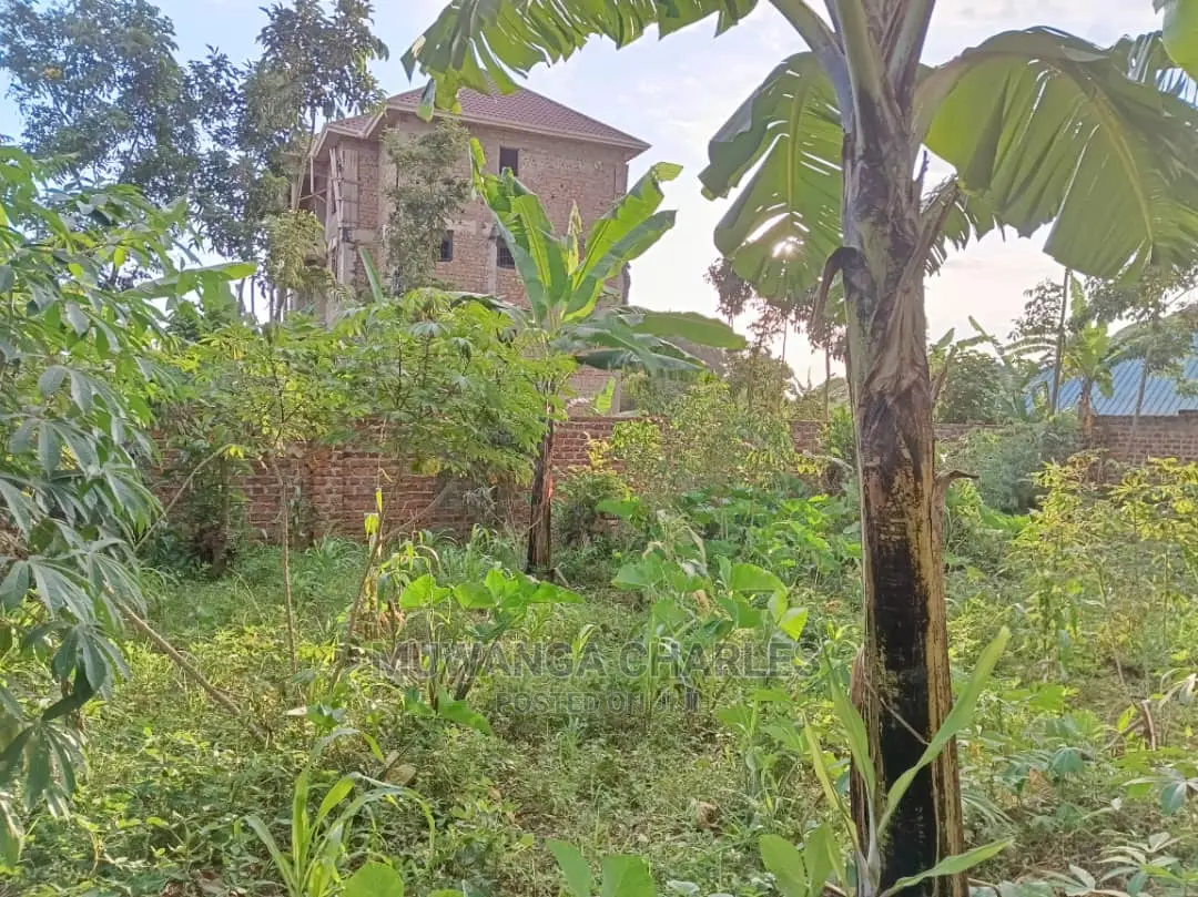 Plots in Kira Kitukutwe for Sale in Central Division