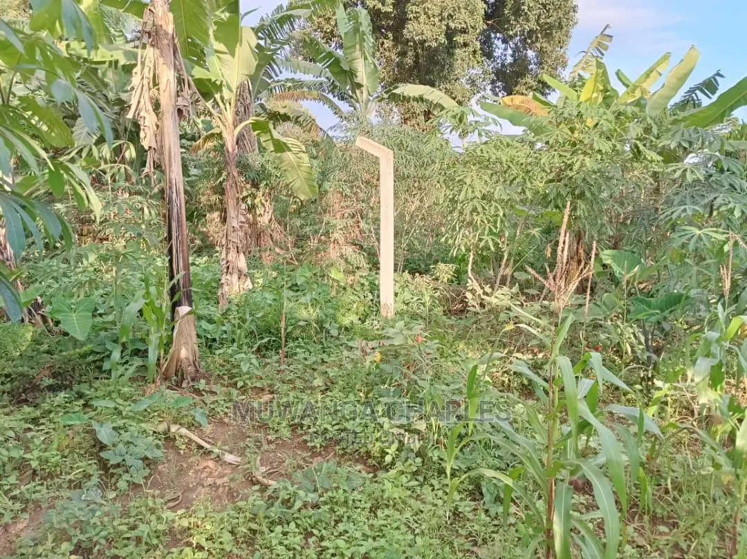 Plots in Kira Kitukutwe for Sale in Central Division
