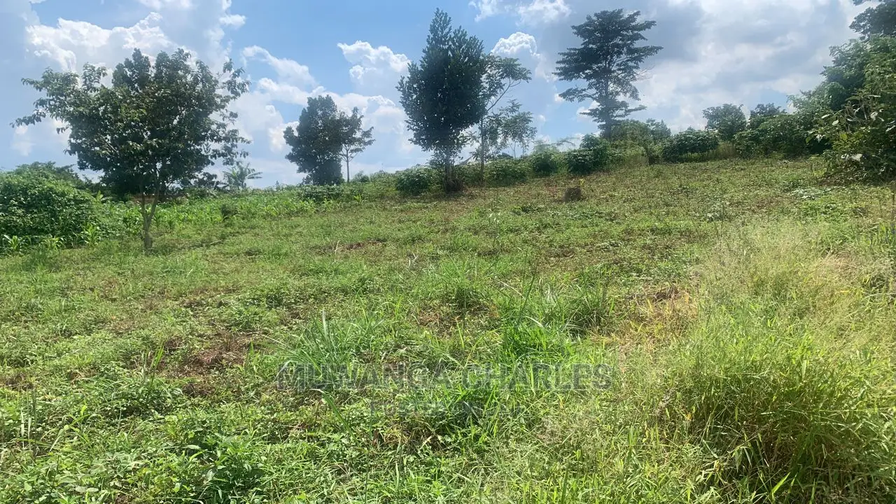 Plots in Gayaza Busiika for Sale in Central Division