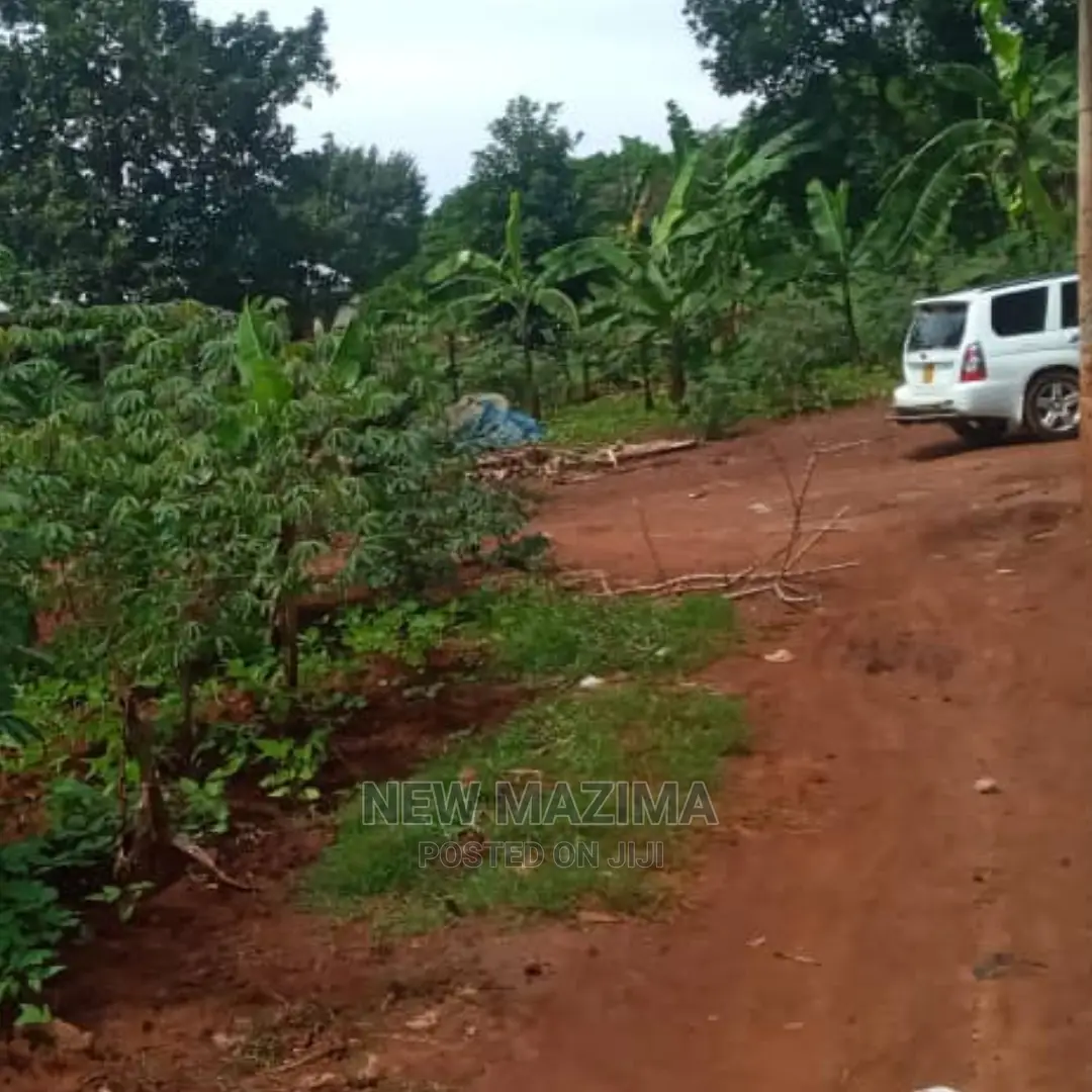 Affordable Sweet Plot With Lake View Onquicksale in Munyonyo in Central Division