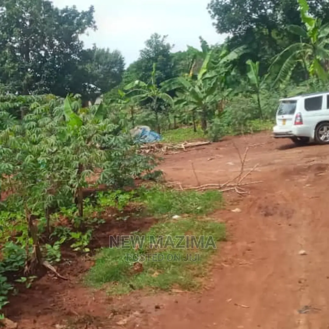 Affordable Sweet Plot With Lake View Onquicksale in Munyonyo in Central Division