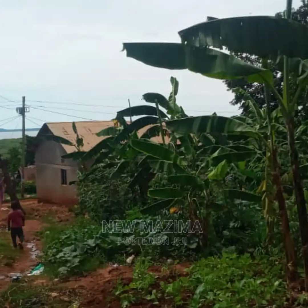 Affordable Sweet Plot With Lake View Onquicksale in Munyonyo in Central Division