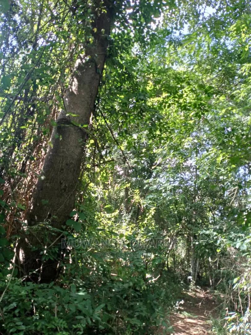 5acres of Land for Sale at Kikyusa in Central Division
